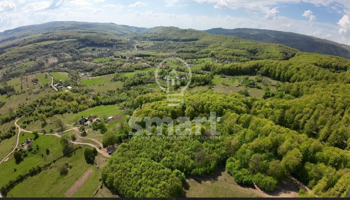 Teren 13700mp cu Padure