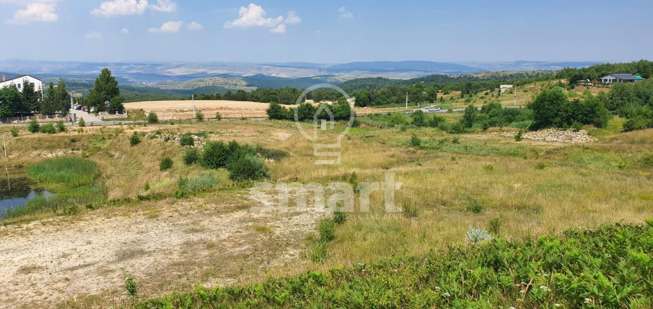 Teren deosebit, intrare in Salicea, pt casa individuala