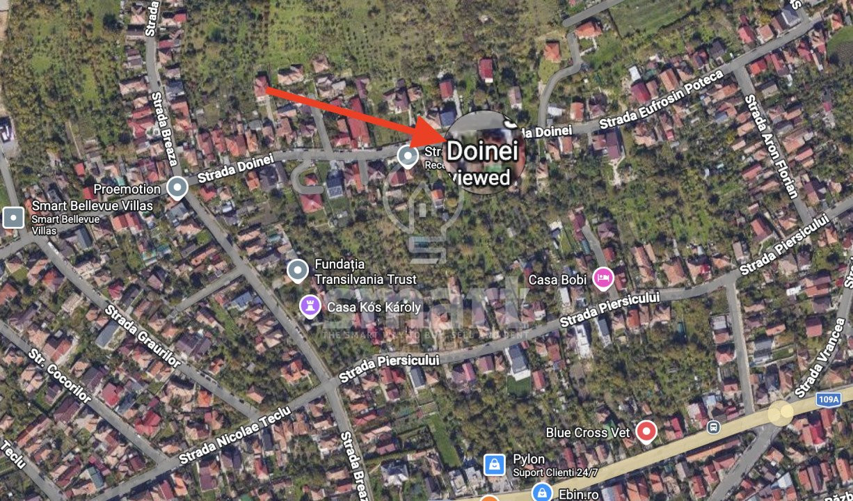 Casa si teren 975 mp Dambul Rotund