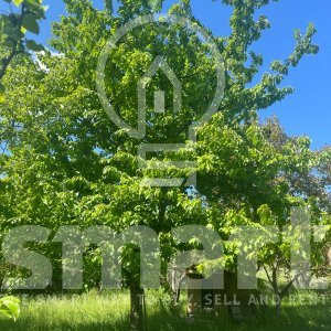 Teren cu autorizatie casa individuala Borhanci - Soporului