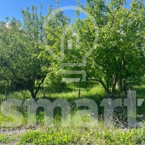 Teren cu autorizatie casa individuala Borhanci - Soporului