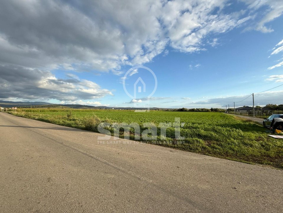 Teren Bistrita Valea Jelnei