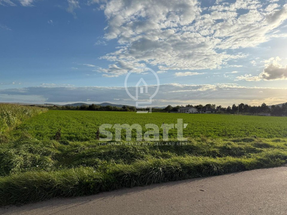 Teren Bistrita Valea Jelnei