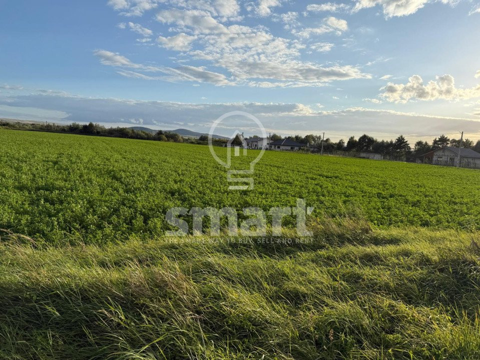 Teren Bistrita Valea Jelnei