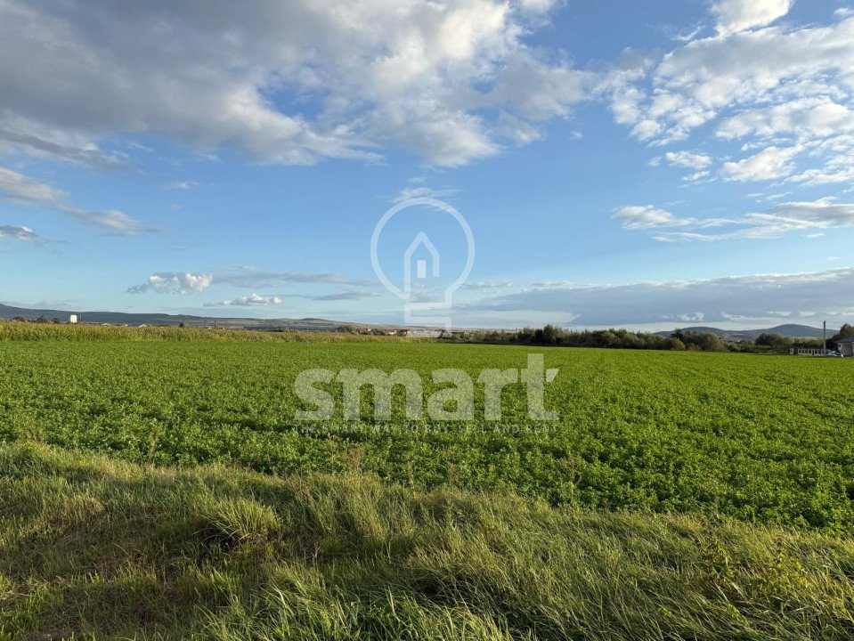 Teren Bistrita Valea Jelnei