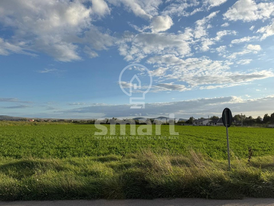 Teren Bistrita Valea Jelnei