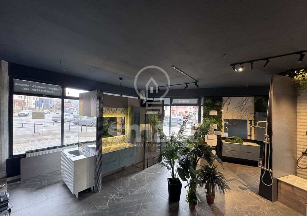 Spatiu Comercial cu vad si vitrina 134 mp Iris 