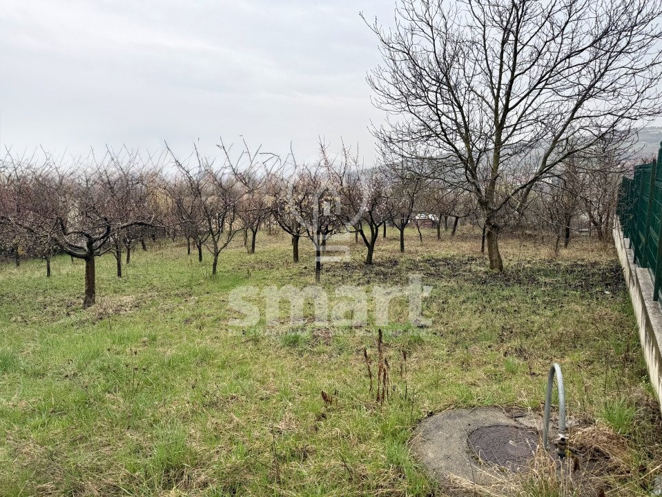 Teren construibil 800mp Borhanci zona Romul Ladea