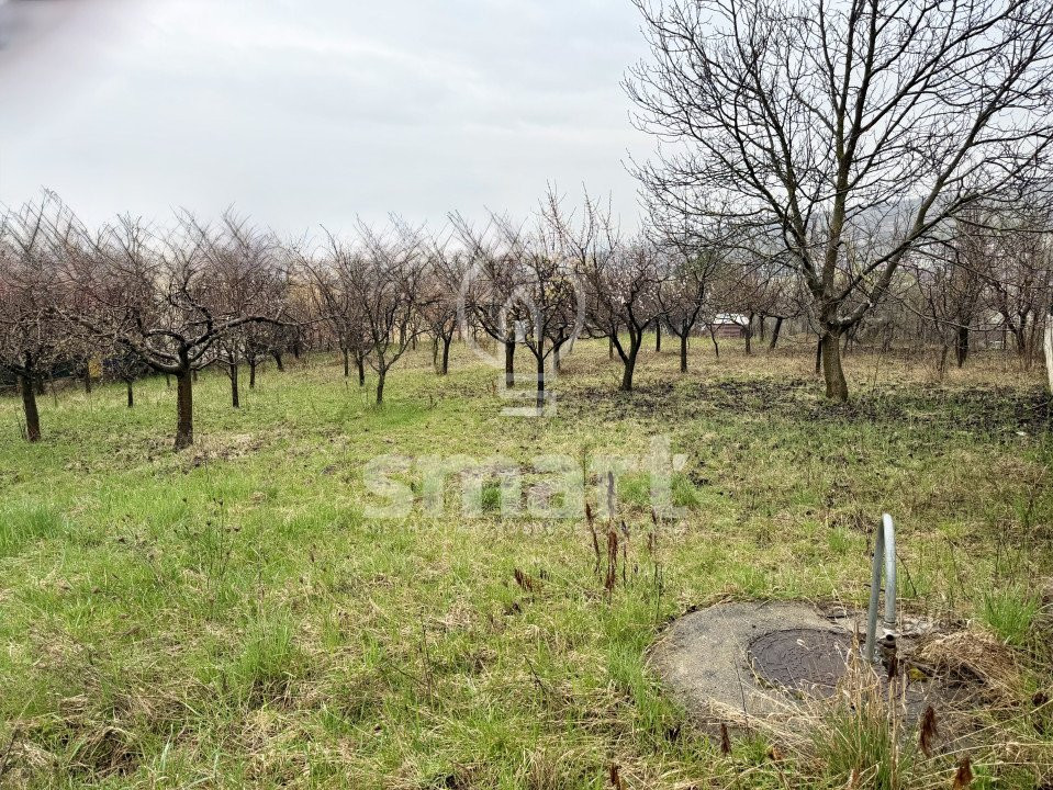 Teren construibil 800mp Borhanci zona Romul Ladea