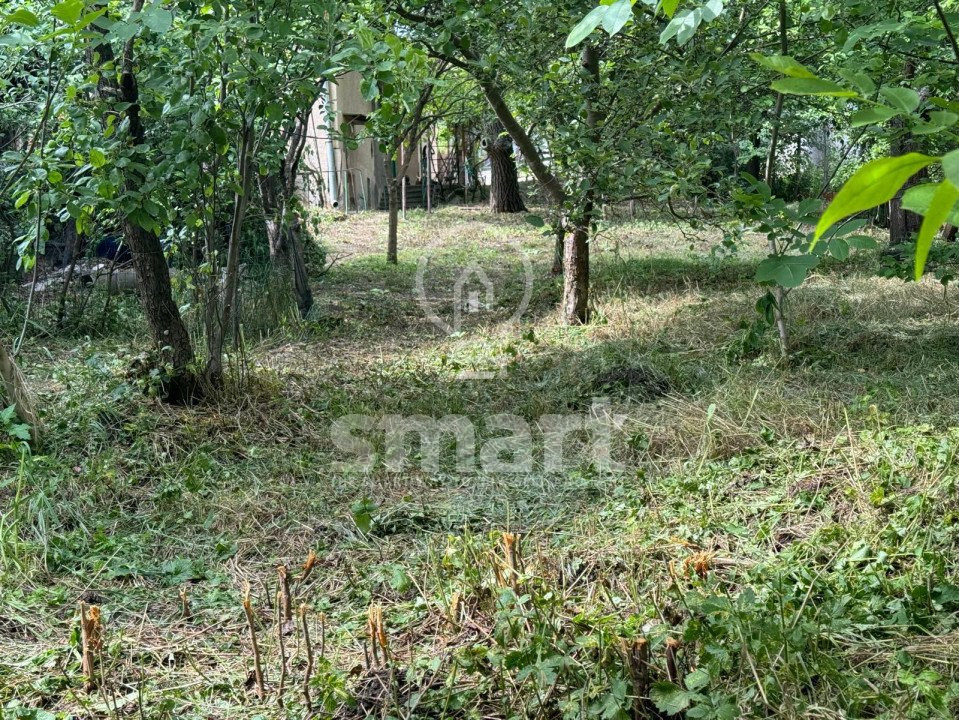 Casa si teren 975 mp Dambul Rotund