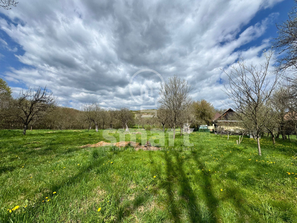 Casa in Filea de Jos , 3000 mp teren
