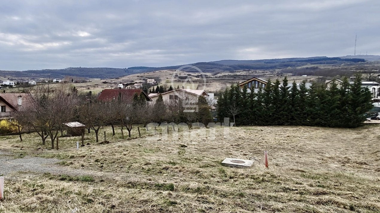 Teren autorizat Borhanci