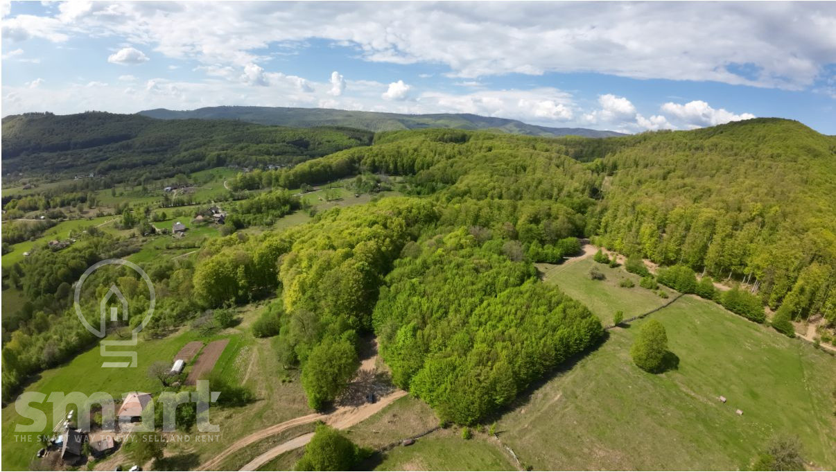 Proprietate exclusivă în inima naturii 13.700 mp cu pădure proprie