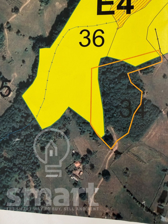Proprietate exclusivă în inima naturii 13.700 mp cu pădure proprie