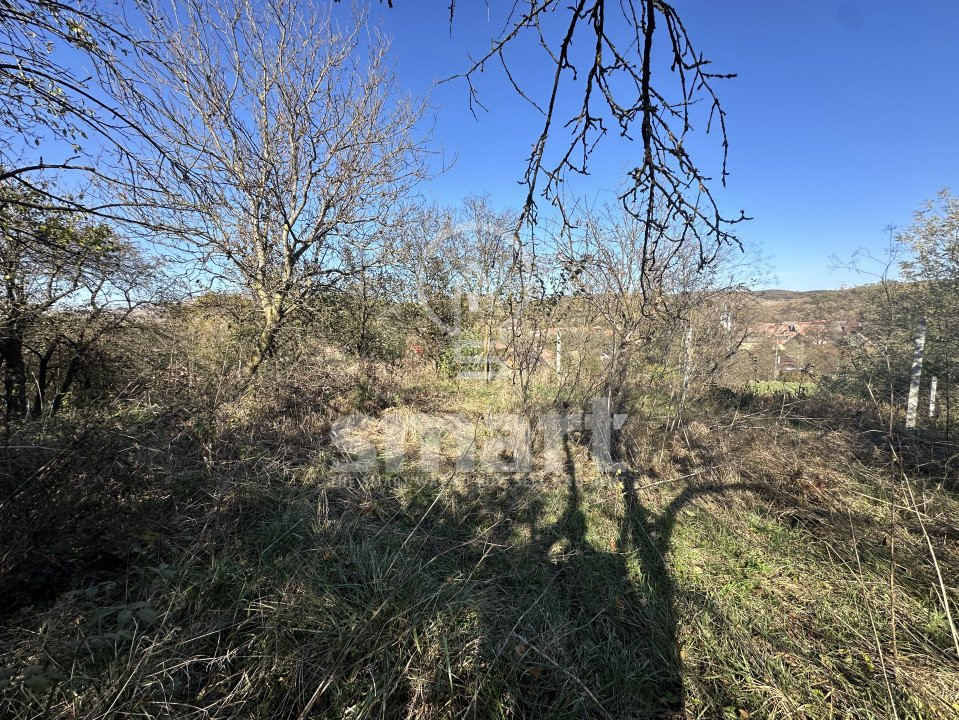 Casa Batraneasca cu teren 24 km de Cluj Napoca Capusu Mare 